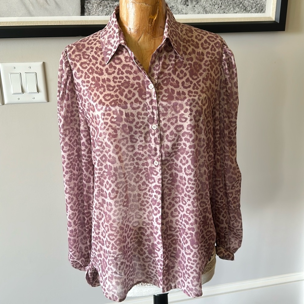 Beautiful sheer blouse worn once